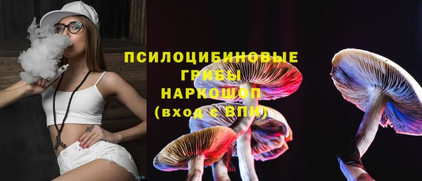 мдпв Балахна