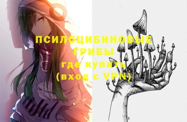 мдпв Балахна