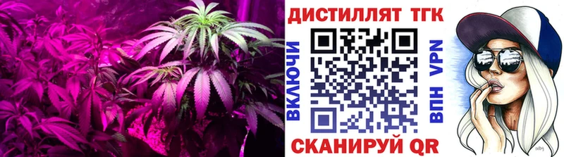 Дистиллят ТГК концентрат Николаевск-на-Амуре